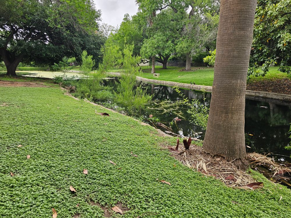 All Photos for Miller Mowing and Maintenance in San Antonio, TX