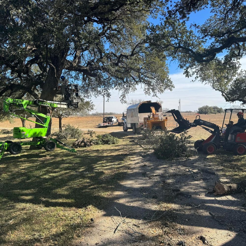 All Photos for Braun Tree Service  in Floresville, Texas
