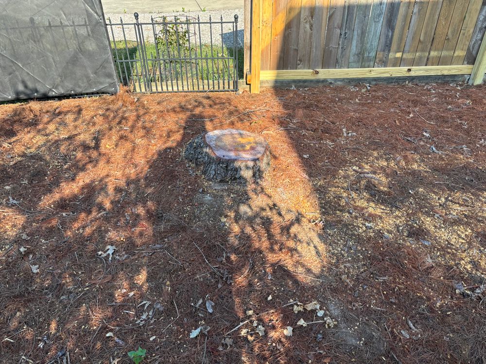 All Photos for Conrad's Stump Removal in Columbus, IN