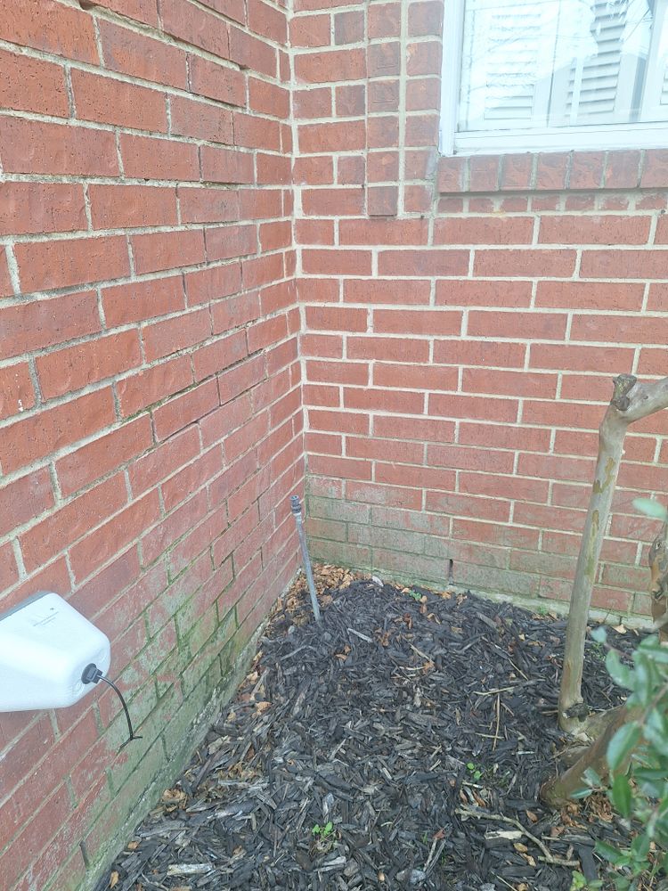 All Photos for Connected Exterior Cleaning in Mesa, AZ