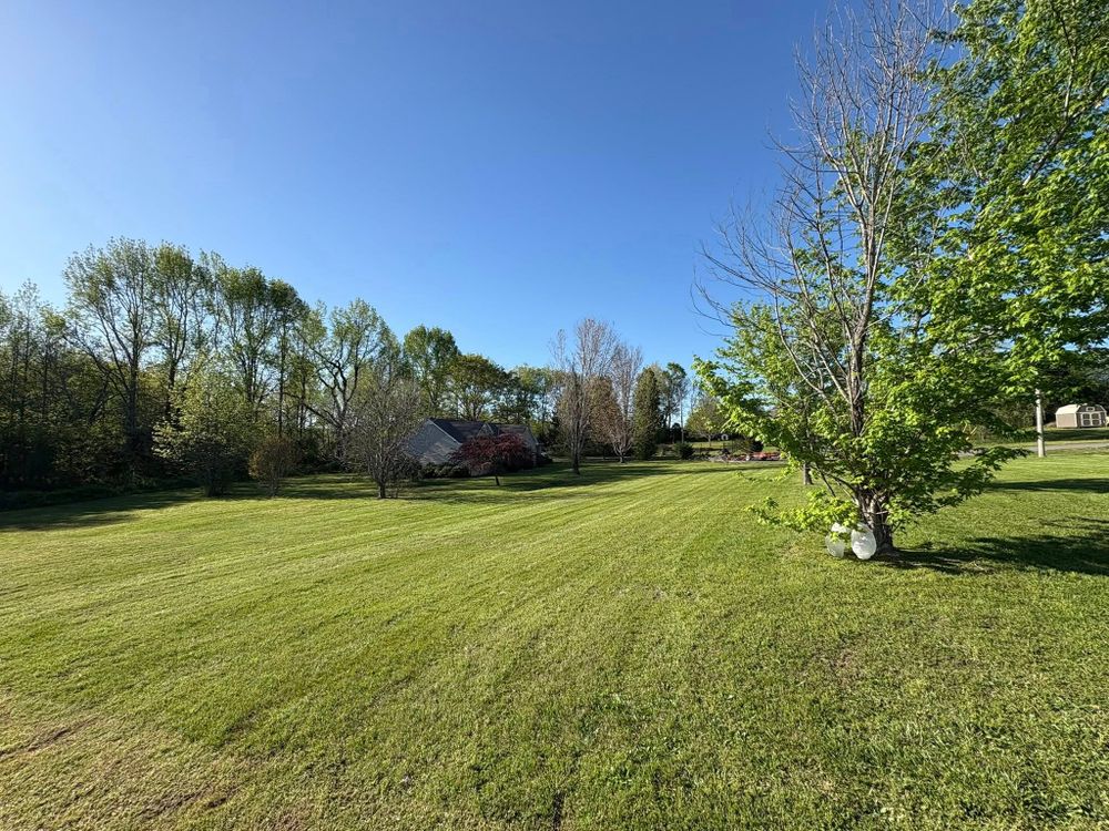 All Photos for Platinum Lawncare in Fayetteville, TN