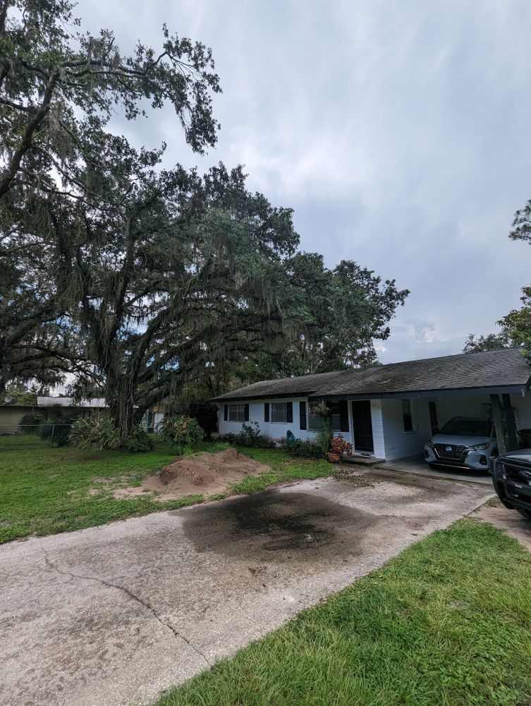 All Photos for Regal Tree Service and Stump Grinding in Wauchula, FL