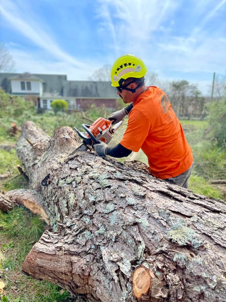 Tree Removal for Ross Family Tree Service LLC  in Hohenwald, TN