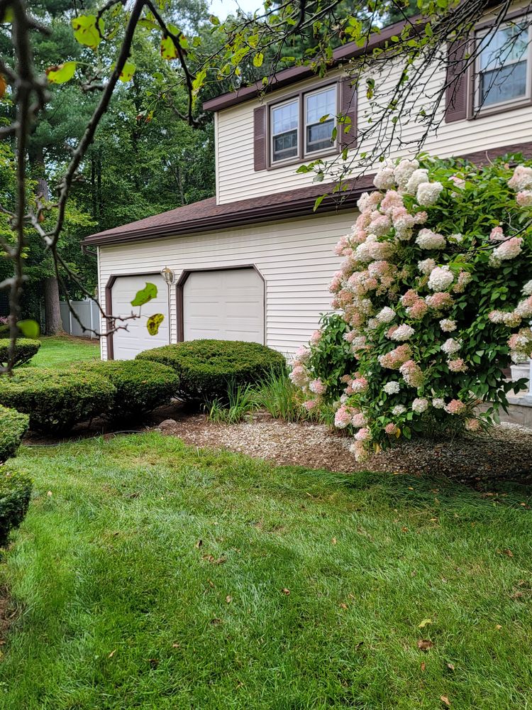 All Photos for Sweet Scapes in Ballston Spa, NY
