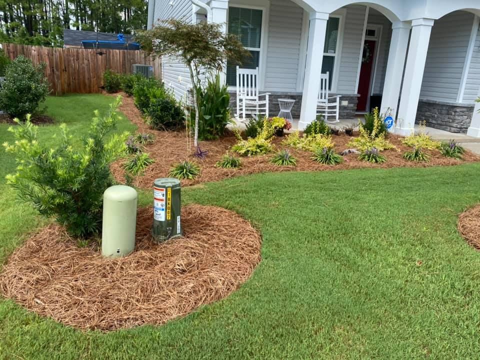 Landscaping for Djosey Landscapes in Wilmington, NC