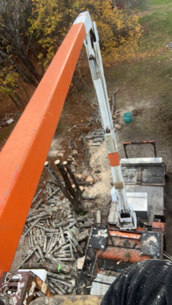 All Photos for Dwights Tree Service in Middleborough, MA