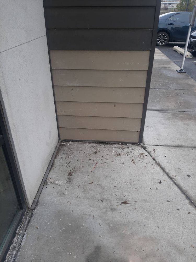 All Photos for Wild Mutt Handyman Services in Pullman, WA