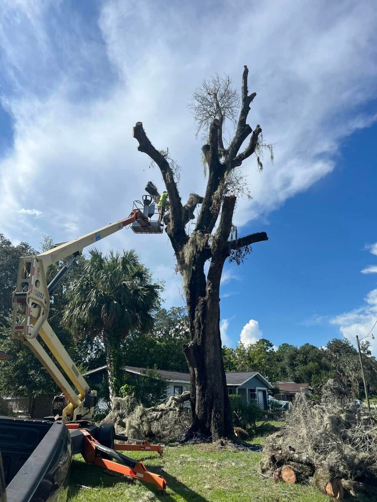 Our Emergency Storm Services provide swift, professional response to storm-damaged trees, ensuring safety and minimizing property risks with expert assessment, tree removal, and debris cleanup for your peace of mind. for All Around Guys LLC in Ocala, FL