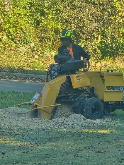 All Photos for Oklahoma Tree Guy in Bartlesville, OK