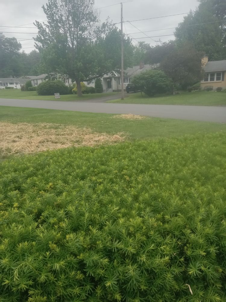 All Photos for K Brown's Property Maintenance in Pittsfield, MA