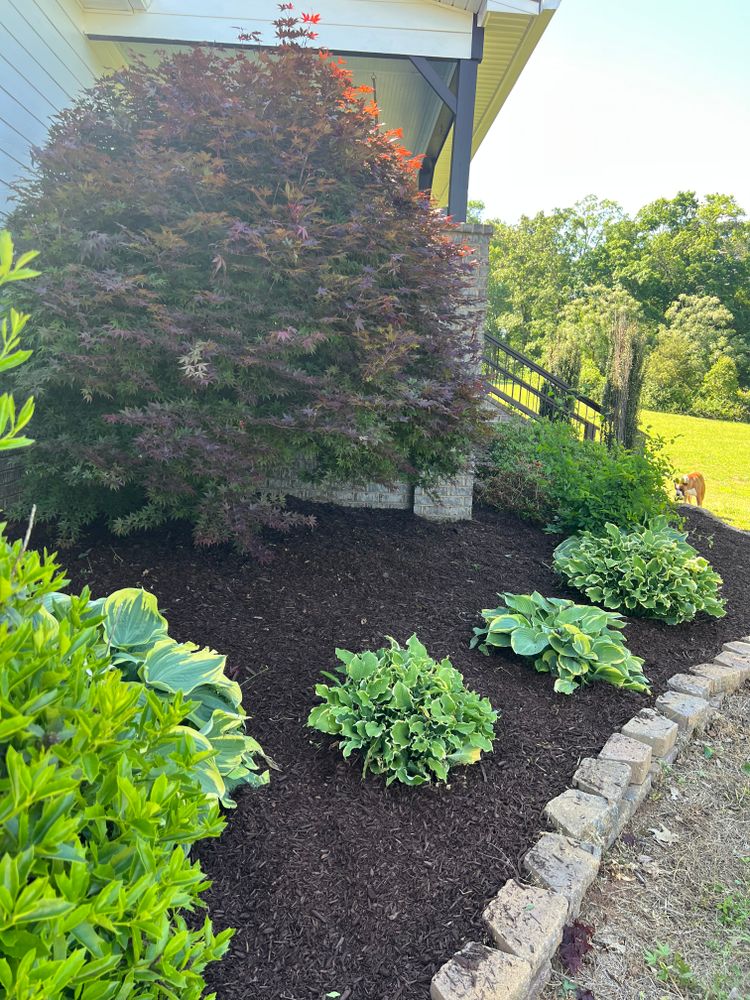 All Photos for LC Lawn Care & Landscaping in Canon, GA