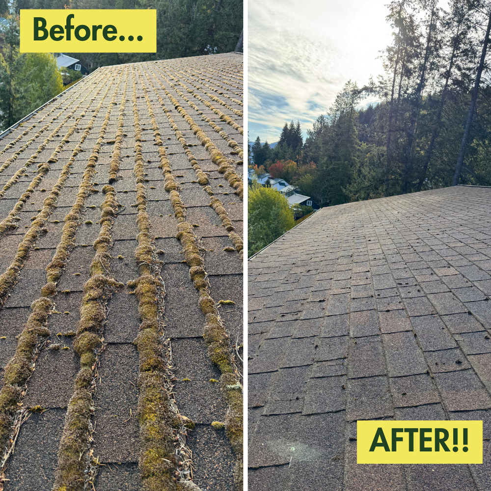 Before & After Photos for Swift Serve in Coeur d'Alene, ID