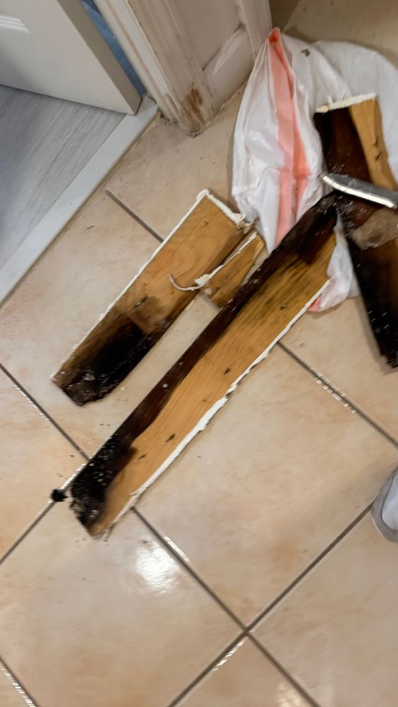 Water Damage Claims for Surplus Public Adjusters in Miami-Dade County, FL