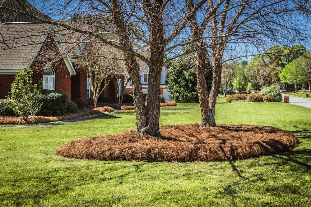 All Photos for Gridiron Green Lawn Care in Murfreesboro, TN