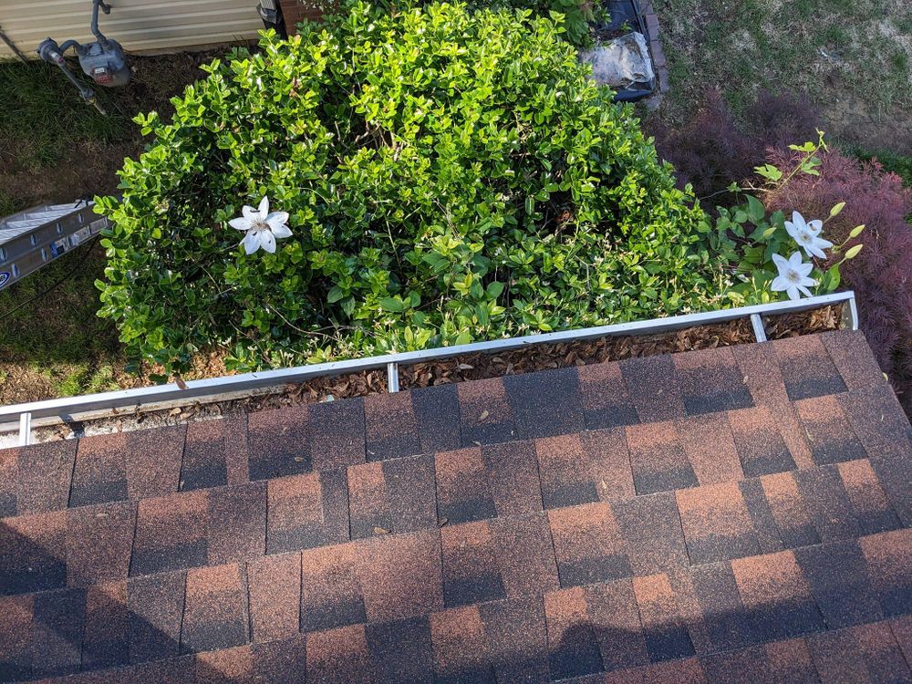 All Photos for Expert Pressure Washing LLC in Raleigh, NC