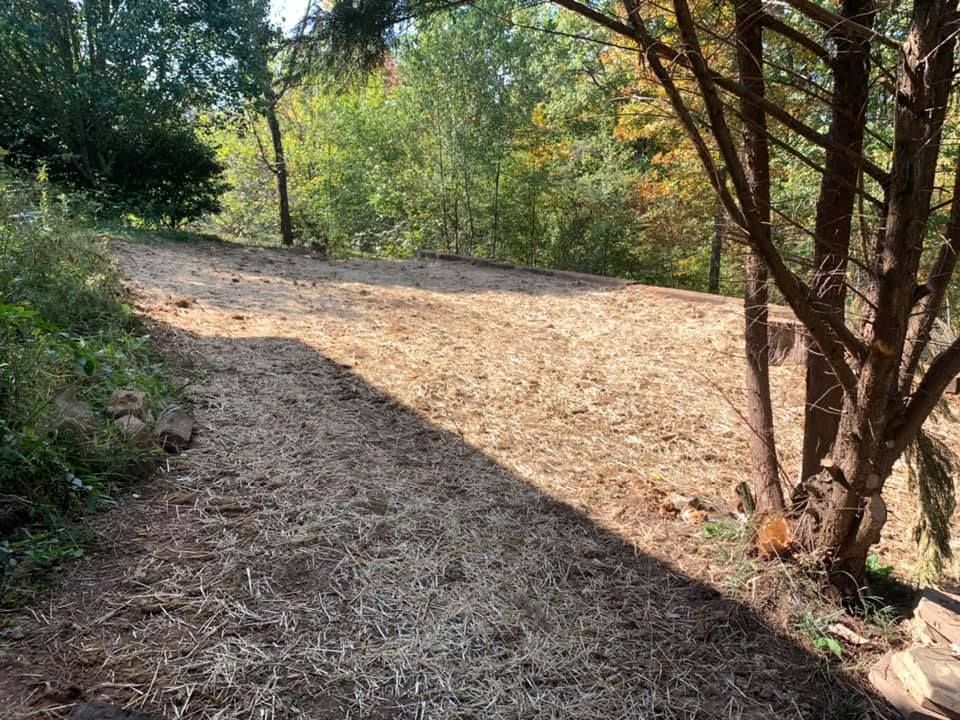 Our Forestry Mulching service efficiently clears overgrown land by shredding vegetation into eco-friendly mulch, improving landscape aesthetics while preparing your property for further development or enhancing its natural beauty. for Southeast Land Services in Cleveland, TN