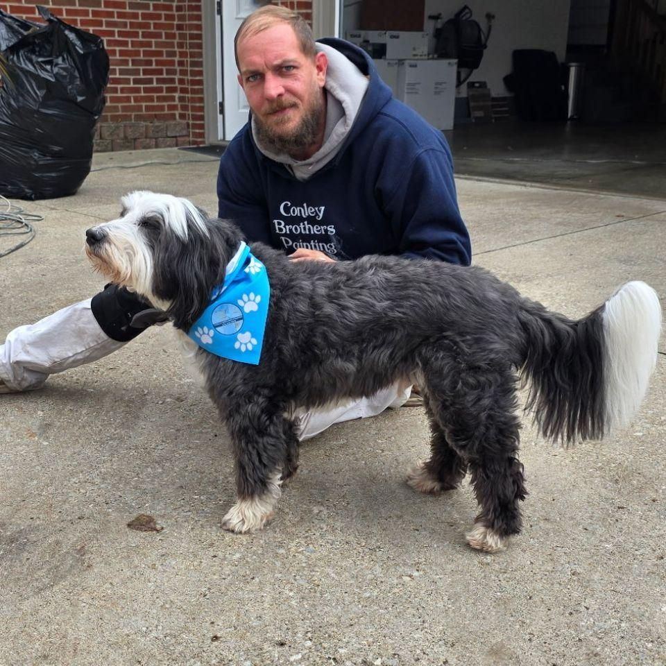 All Photos for Conley Brothers Painting in Mishawaka, IN