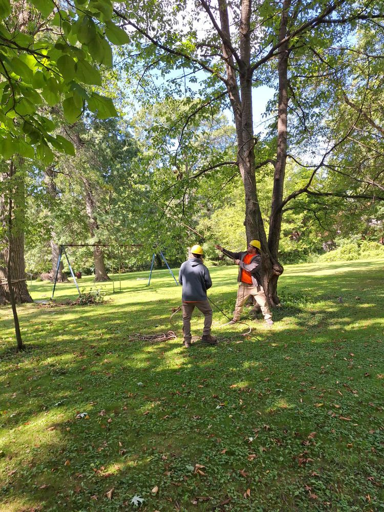 All Photos for Highborn Tree Service in Wheatfield, IN