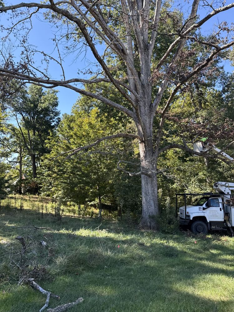 All Photos for Lightning Tree Service in Corydon, IN
