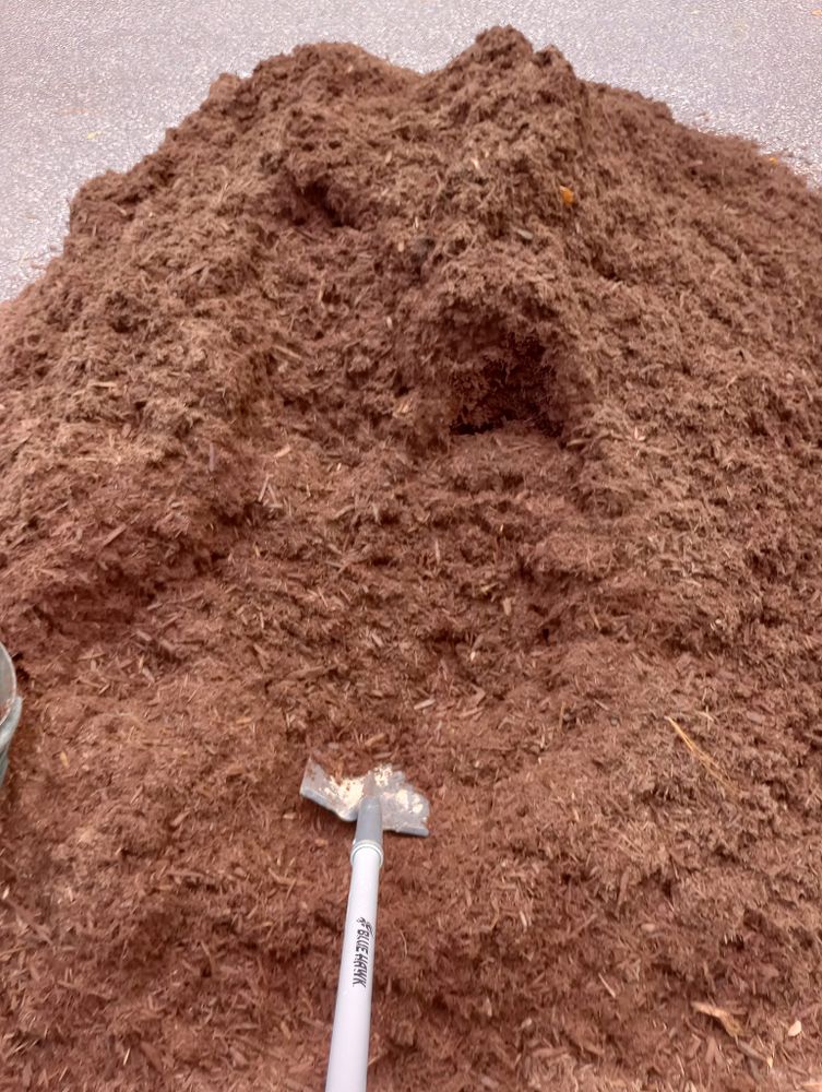 All Photos for Handy Al's Landscaping LLC in Greenville, NC