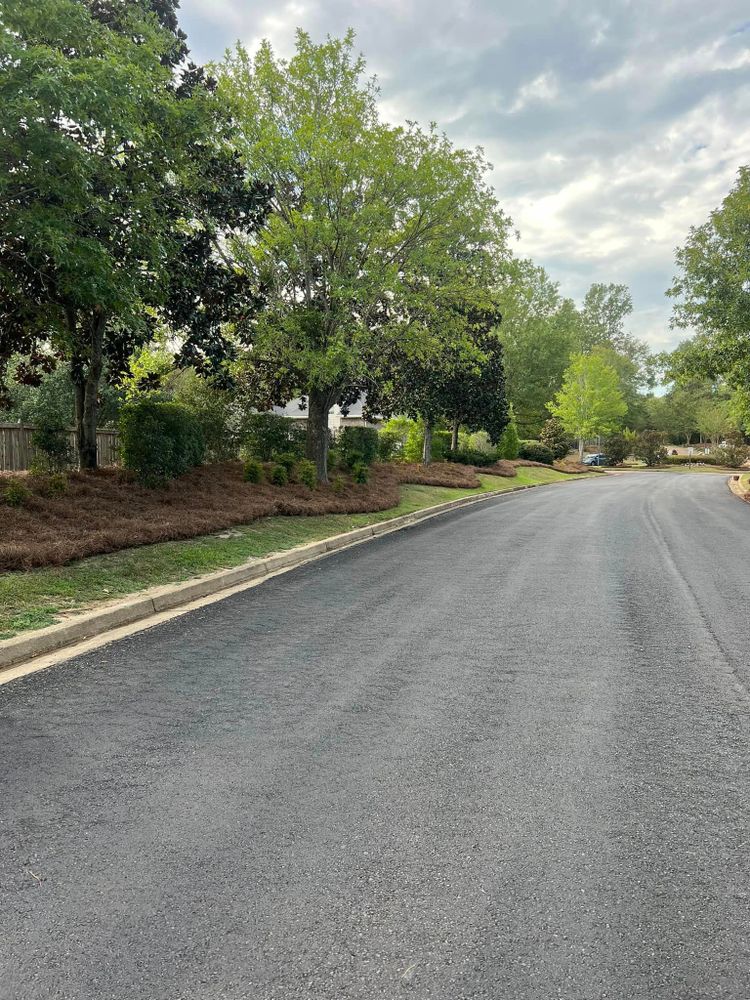 Landscaping for Amis Lawn and Landscape, LLC in Clinton, MS