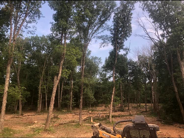 Land Clearing for TriStar Land Clearing & Mulching in Murfreesboro, TN