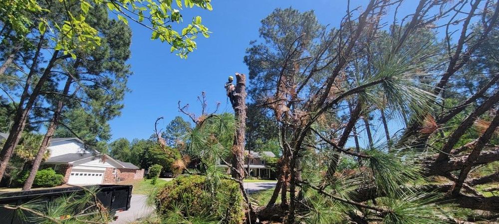 Tree Removal for Tucker's Tree Service and Stump Grinding in Lugoff, SC