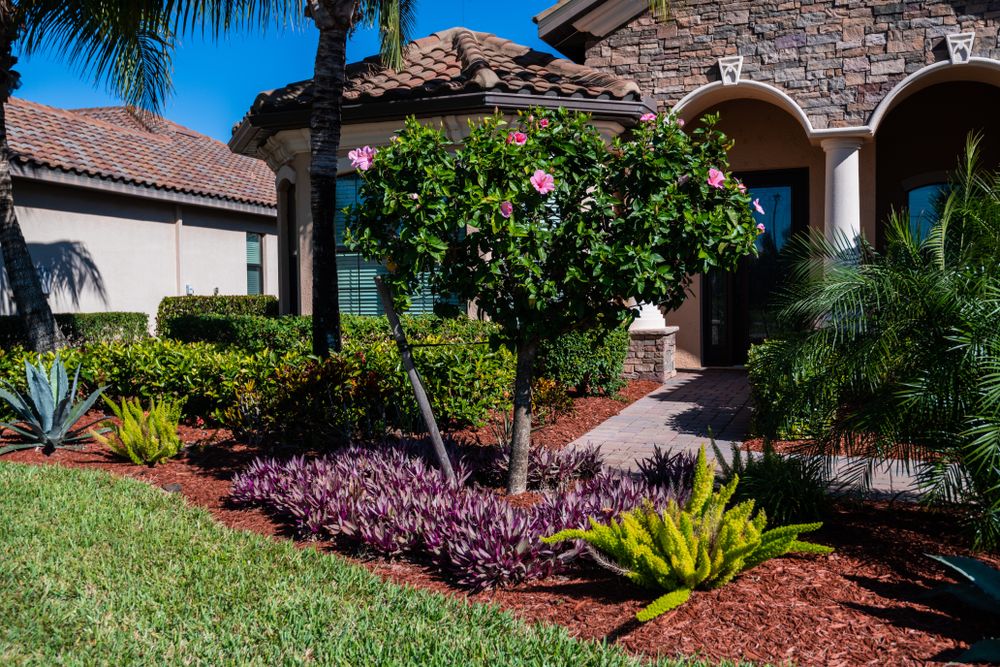 Transform your outdoor space with our expert Landscape Design service, creating personalized and stunning environments that enhance beauty, functionality, and value while reflecting your unique style and needs. for TLM Landscape Professionals in Clermont, FL