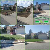 All Photos for Regalado Landscape in Antioch, CA