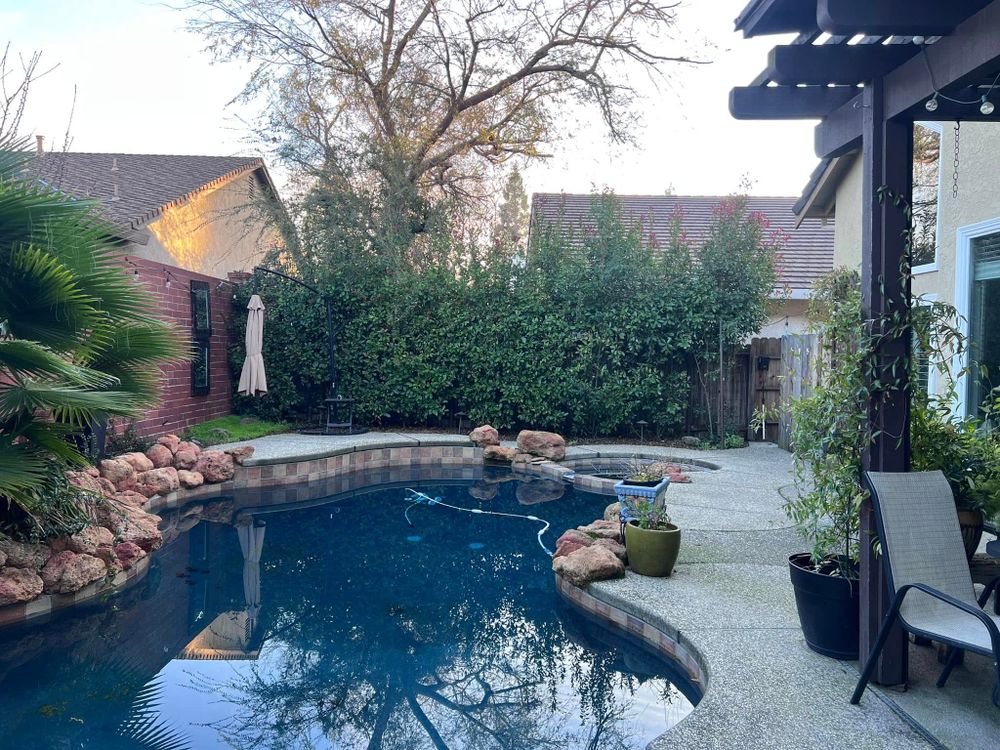 Tree Removal for Sammy's Tree Services in Rancho Cordova, CA