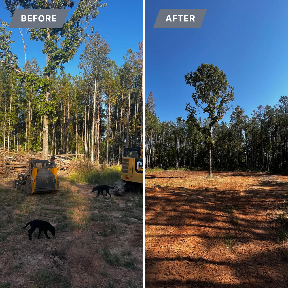 All Photos for Southern Roots Services in Carrollton, GA