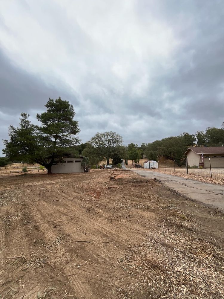 All Photos for A1 Junk & Tree Solutions, LLC in Paso Robles, CA