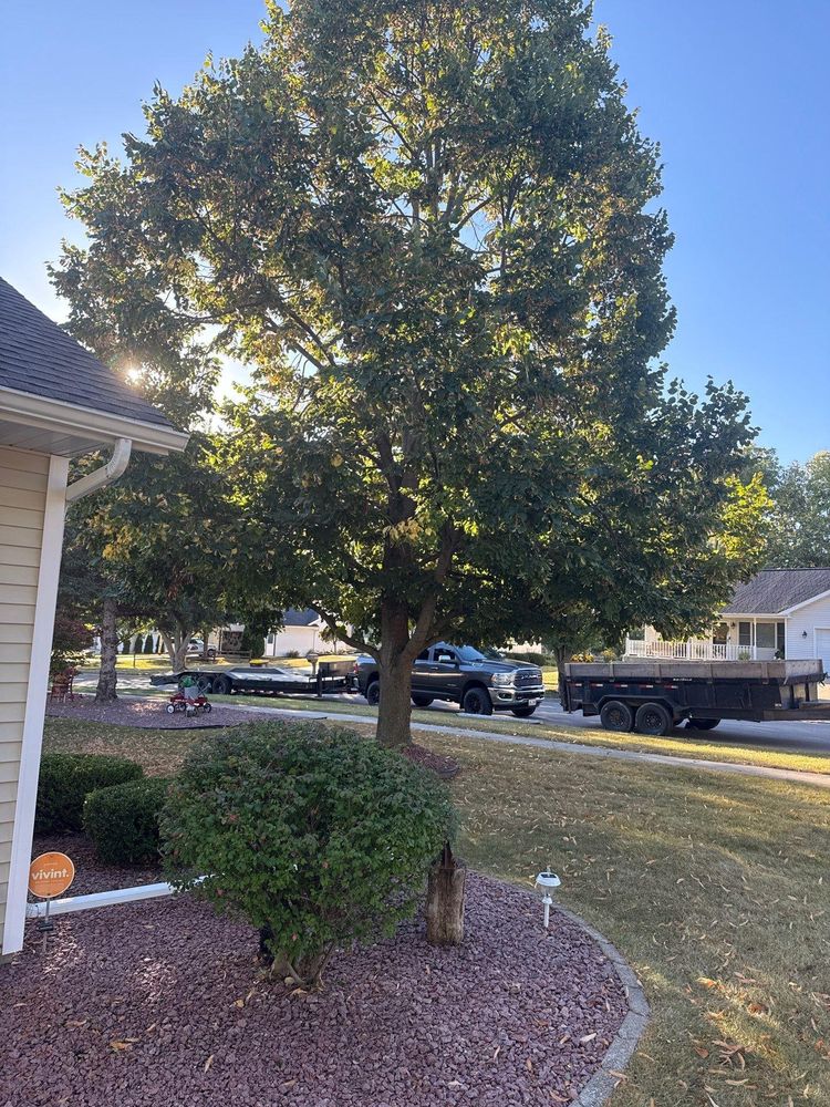 All Photos for Fransen's Tree Service  in Freeport, IL