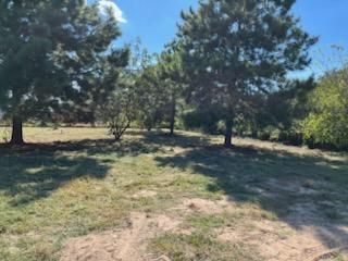 All Photos for Oviedo Land & Garden in Bastrop, TX