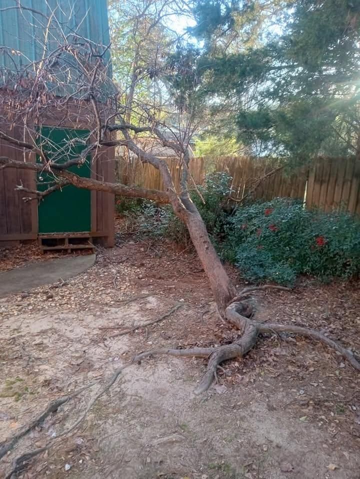 All Photos for Herring Lawn Care in Columbus, GA