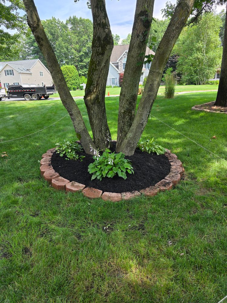 All Photos for Sweet Scapes in Ballston Spa, NY