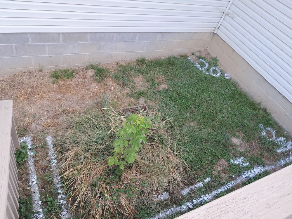 Concrete pad and Grill Hut for Dead Tree General Contracting in Carbondale, Illinois