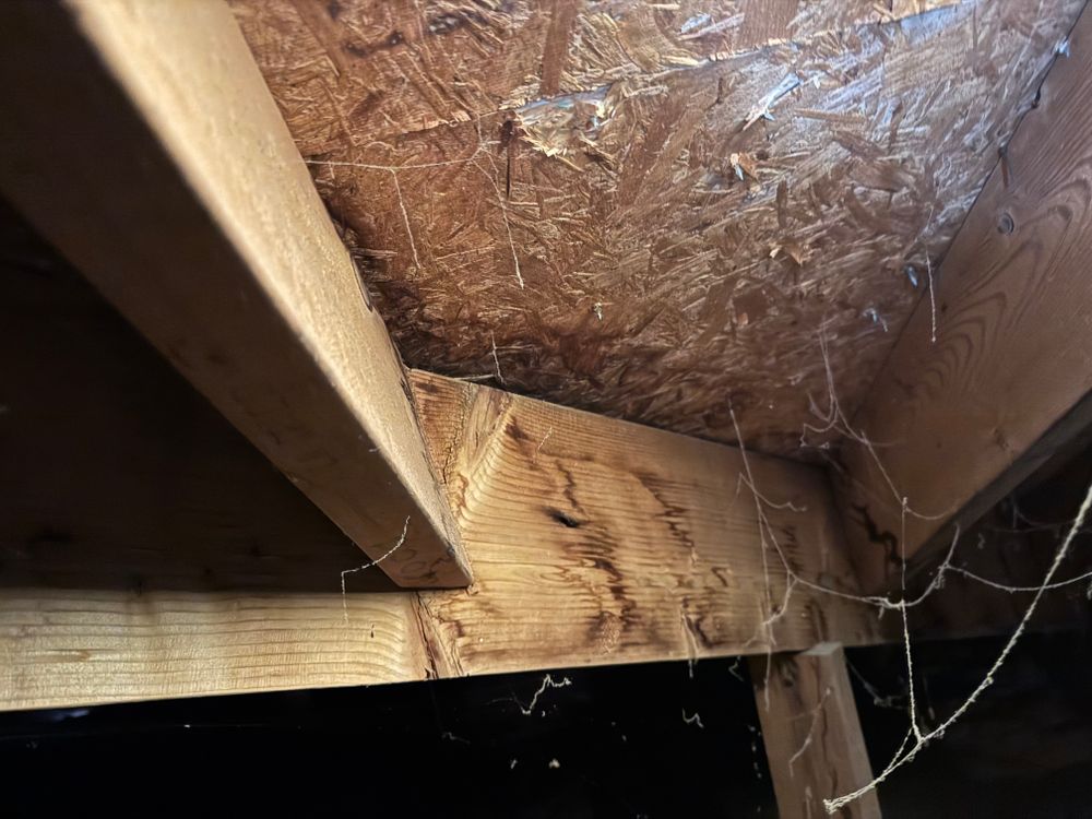 All Photos for FNS Exterior Consulting LLC, Powered By Live OAK in Cumming, GA