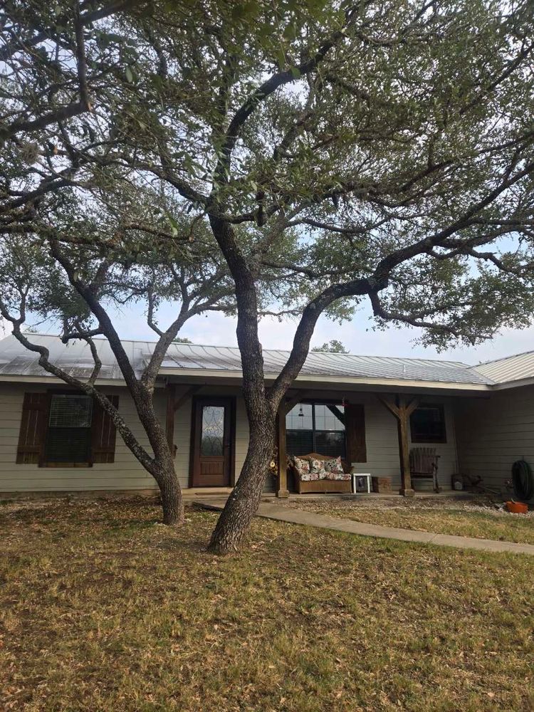 Tree work for Good and Green Landscaping in Canyon Lake, TX