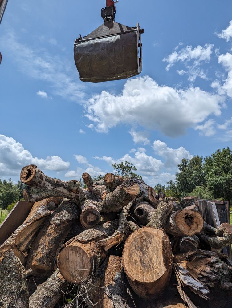 All Photos for Regal Tree Service and Stump Grinding in Wauchula, FL