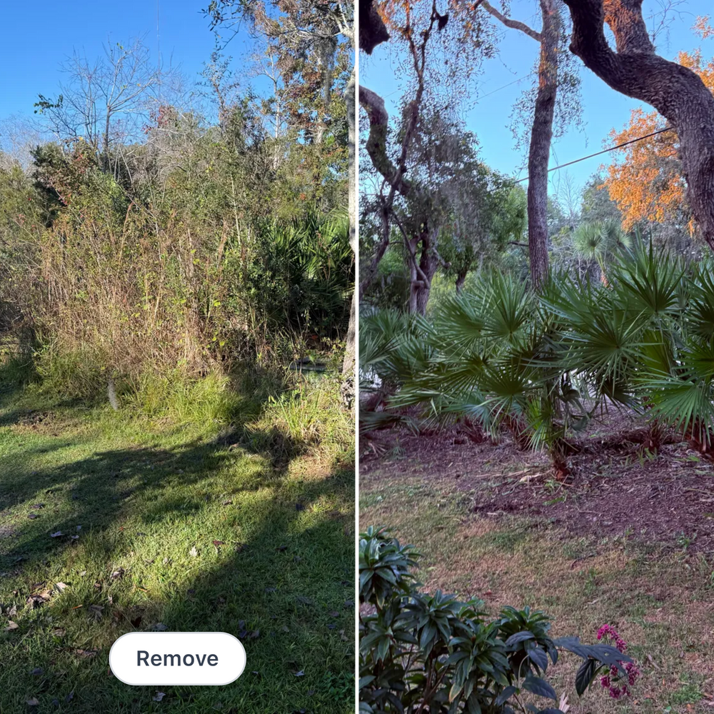 All Photos for Amerigrown Tree And Lawn in Apopka, FL