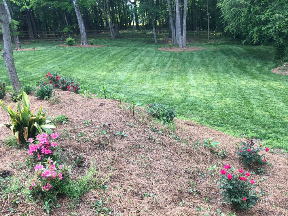 Fall and Spring Clean Up for Battle Lawn Maintenance in Eatonton, GA