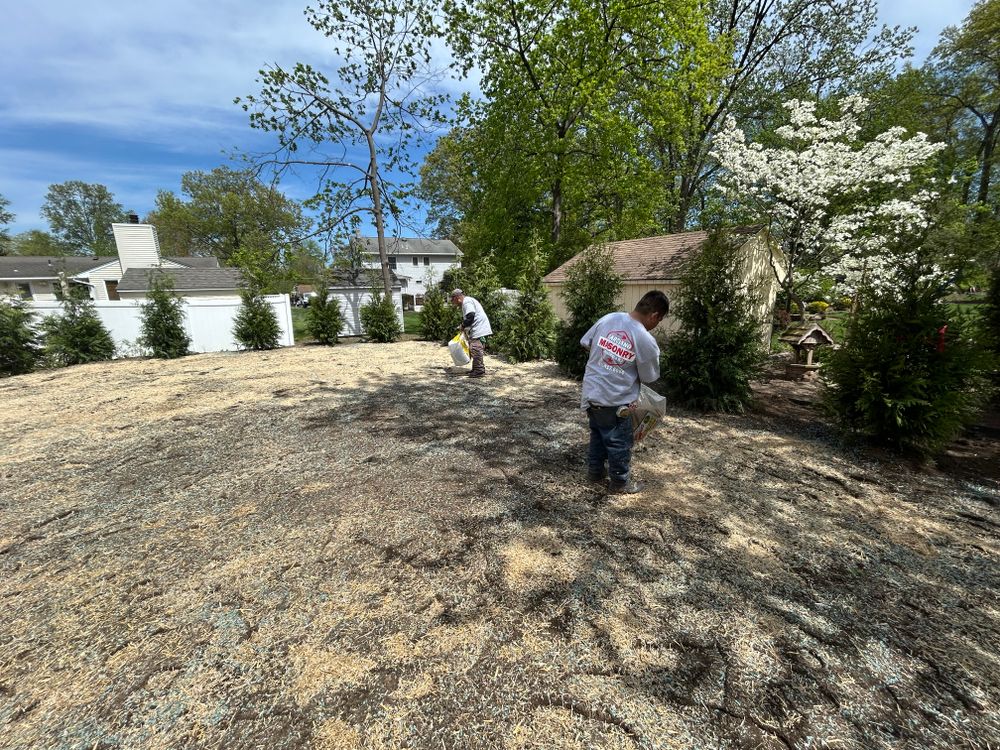 All Photos for Garciano Masonry in Springfield Township, NJ