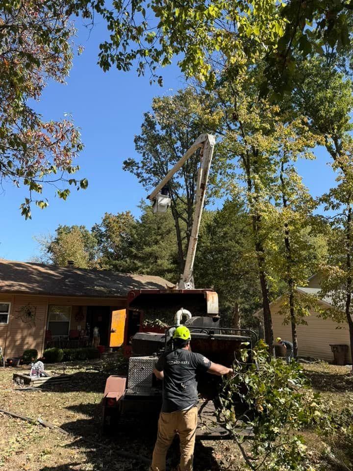 All Photos for H n H Tree Service in Taneyville, MO