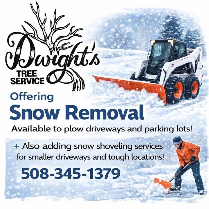 All Photos for Dwights Tree Service in Middleborough, MA