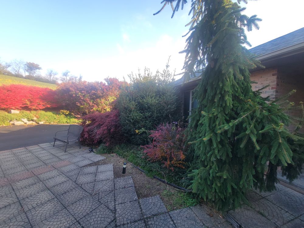 All Photos for Down Home Landscaping in Stillwater, PA