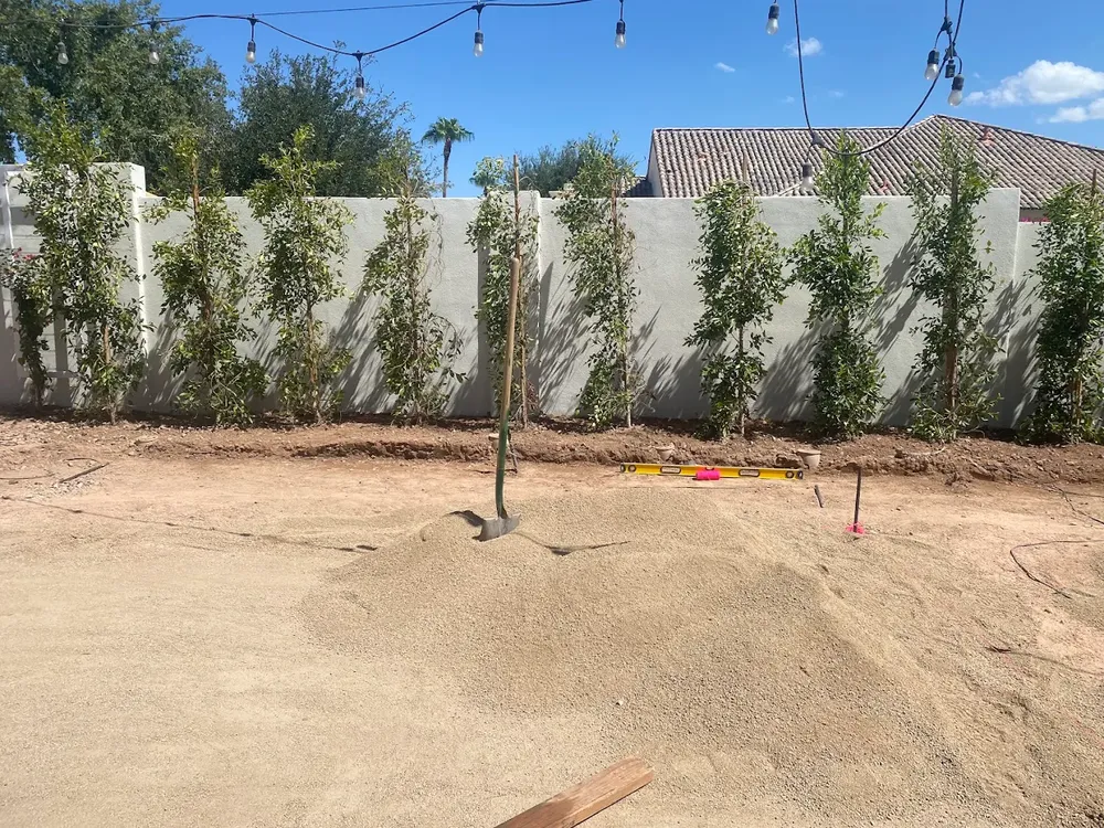 Our Planters service enhances your home's curb appeal by providing custom-built, durable planters that seamlessly integrate with your landscape design, offering a stylish and functional addition to any exterior space. for Outdoor Pros in Phoenix, AZ