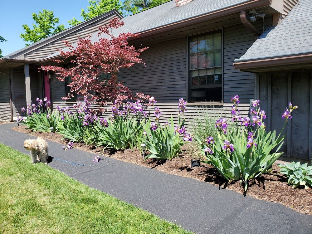 Landscaping for Evolution Earthscapes, LLC in Ludlow, MA