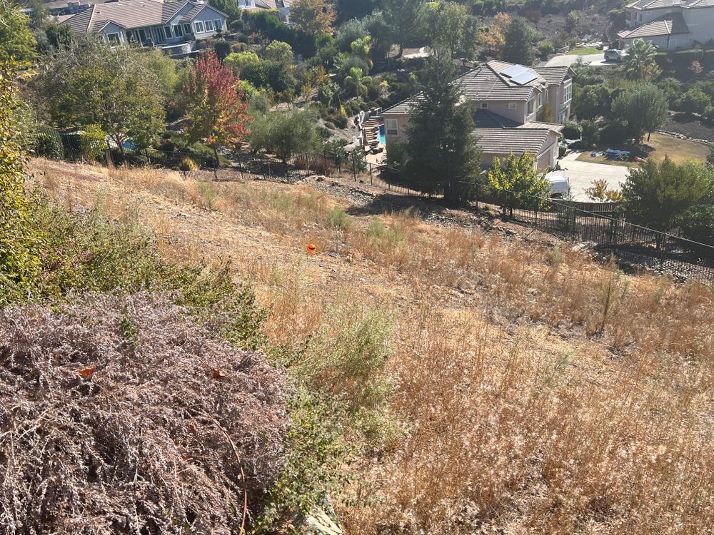 Fall and Spring Clean Up for Folsom Lake Landscaping in El Dorado Hills, CA