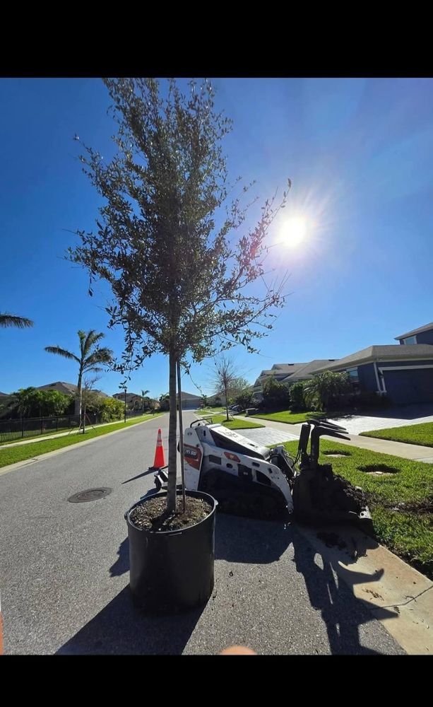 All Photos for TREE BOYS in Ruskin, FL